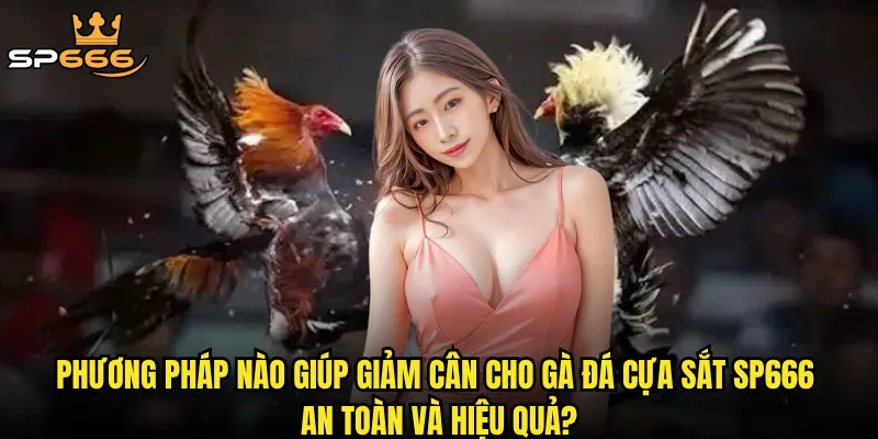 Phương pháp nào giúp giảm cân cho gà đá cựa sắt Sp666 an toàn và hiệu quả?