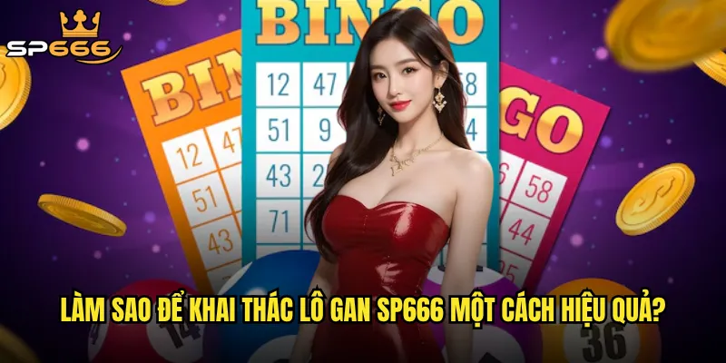 Làm sao để khai thác lô gan Sp666 một cách hiệu quả?