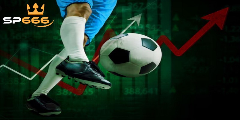 Kèo Nhà Cái cung cấp bảng xếp hạng của nhiều giải đấu lớn 